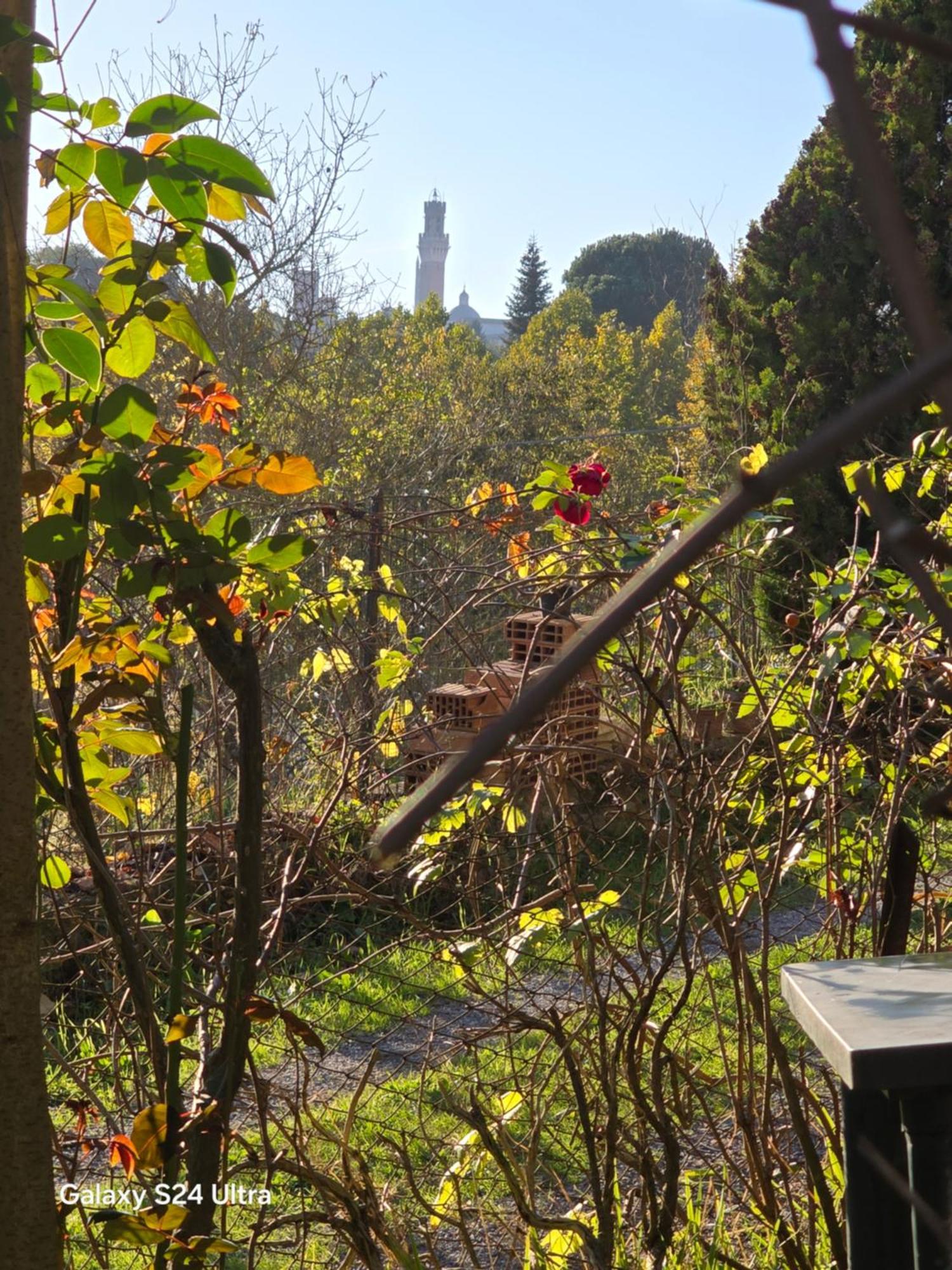 Podere Ponticini Siena Buitenkant foto